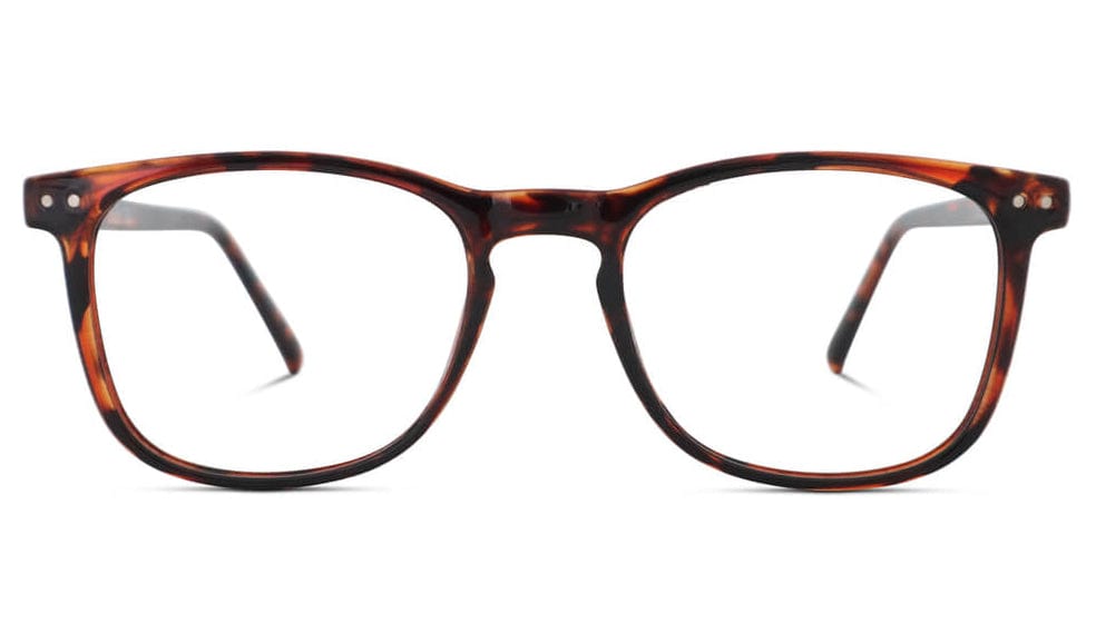 ScreenTime Taylor Computer Glasses Tortoise Prescription