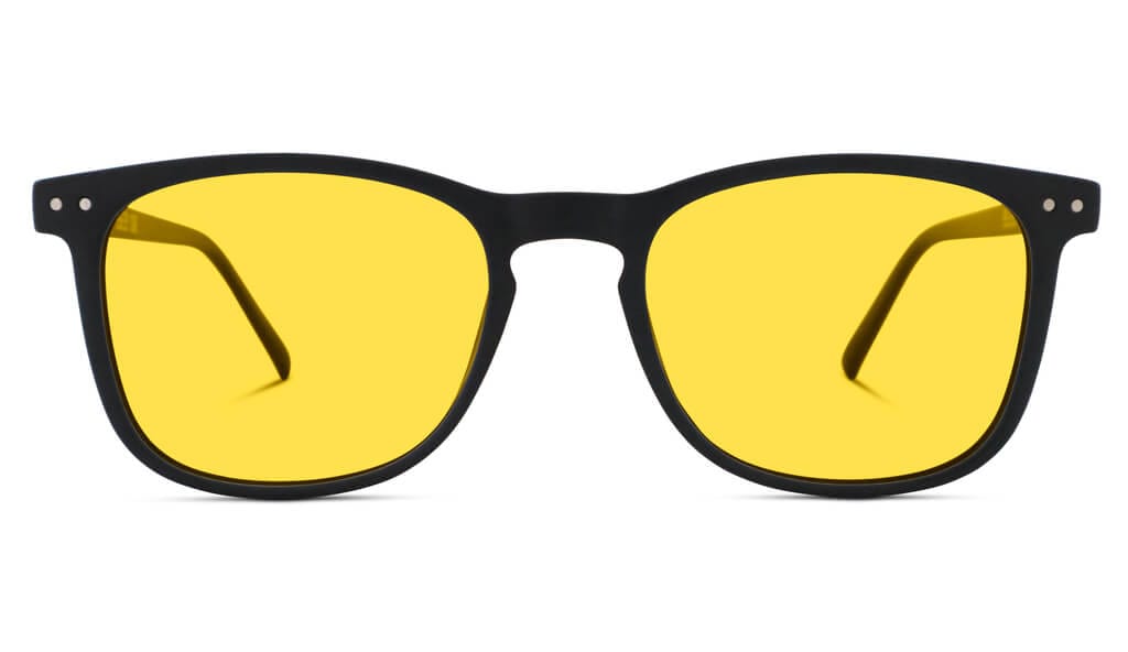DayMax Taylor Blue Light Glasses Tortoise BlockBlueLight