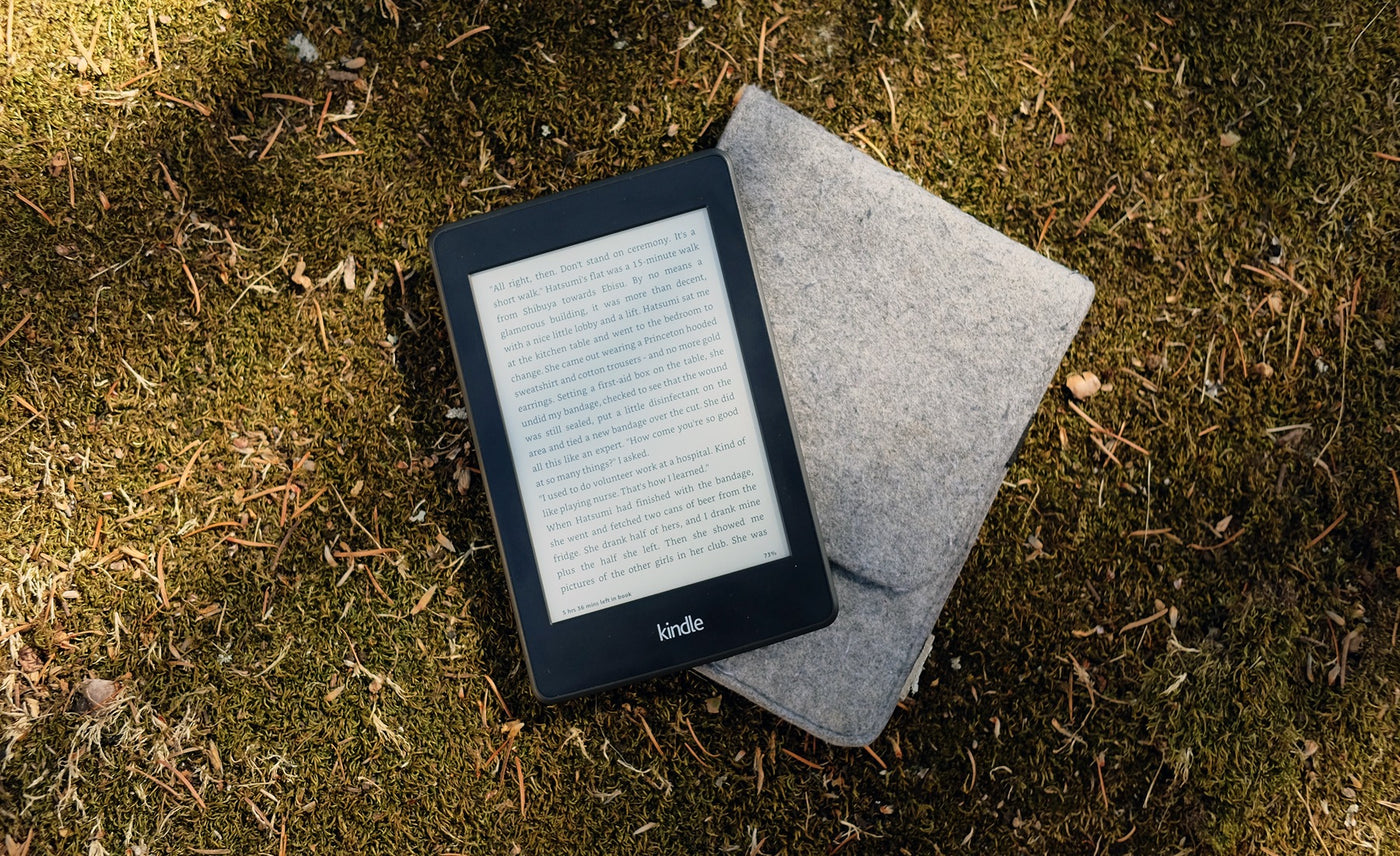 Kindle: Do you need it and, if yes, which one?