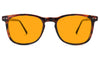 SunDown Taylor Blue Blocking Glasses - Tortoise