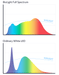 BlockBlueLight Full Spectrum Lighting BioLight™ Downlight - Full Spectrum Light